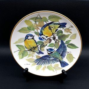 World Wildlife Fund Blue Songbird German Collector Plate Vintage 1985 Blaumeise
